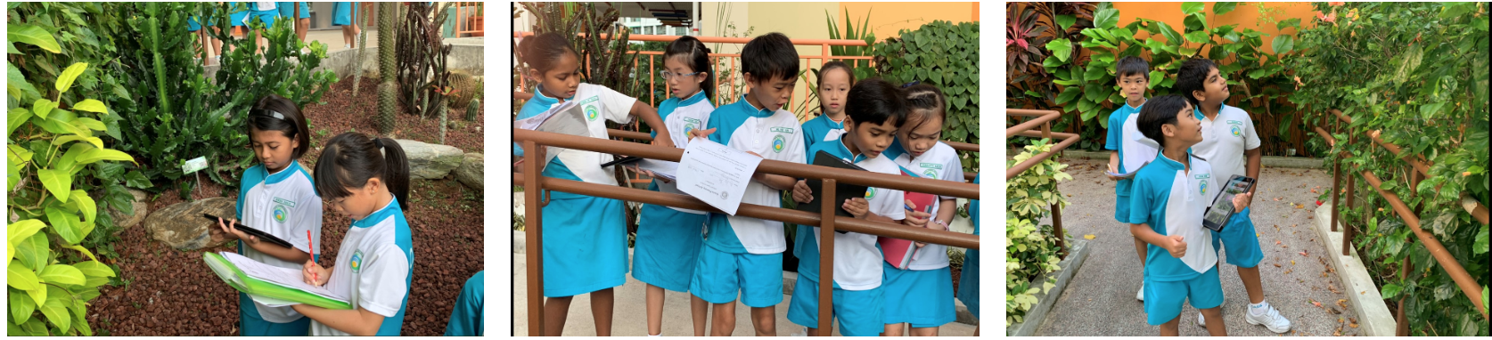 Three photos of young students in blue and white uniforms doing outdoor activities, writing notes and looking at plants.